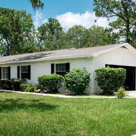 3Bdr2Bath Home In Lutz Close To Tampa, 20 Min To Stadium, Airport Exterior photo