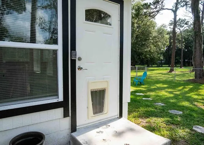 3Bdr2Bath Home In Lutz Close To Tampa, 20 Min To Stadium, Airport